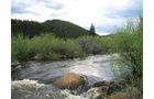 Property photo 12 - Get Lost in the Pristine Northern Colorado Rockies - Prime Building Sites
